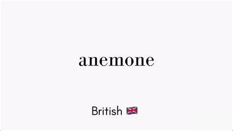 How to Pronounce Anemone In UK English & US English .